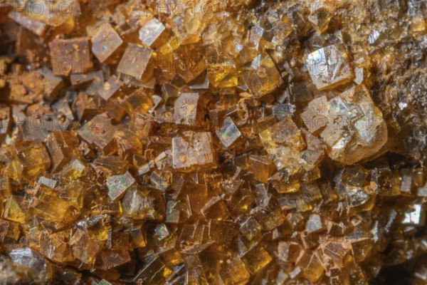 Bright, square crystals are visible on a piece of rock. The light underlines their structure and