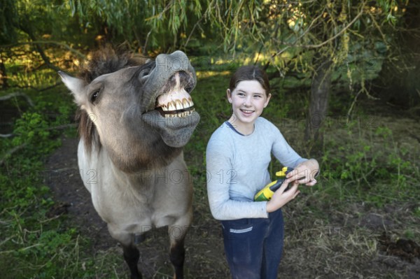 Howling horse, next to a young girl in the pasture, Othenstorf, Mecklenburg-Western Pomerania,