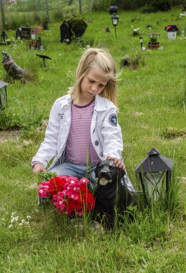 Grieving blonde 7-year-old girl at her dog's grave at pet cemetery in Ystad, Skåne County, Sweden,