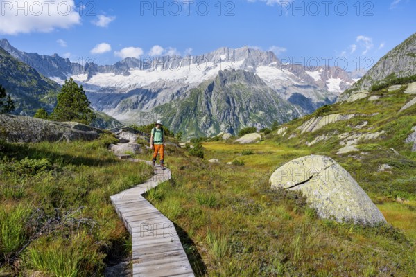 Mountaineers on wooden plank trail through mountain moor, in front of picturesque mountain scenery,