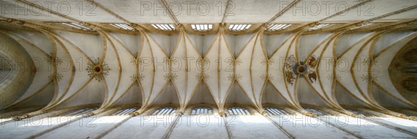 Interior photo, vaulted ceiling, church ceiling, central nave, interior view, Cathedral of Our Lady