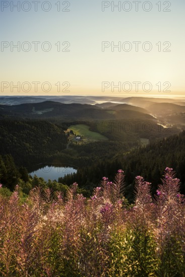 View from Feldberg to Feldsee looking east, sunrise, Black Forest, Southern Black Forest,