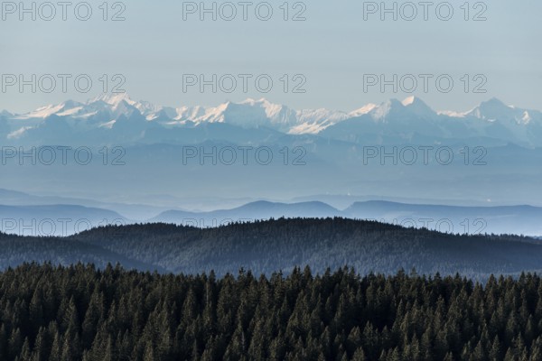 View of the Swiss Alps from Feldberg, Black Forest, Southern Black Forest, Baden-Württemberg,