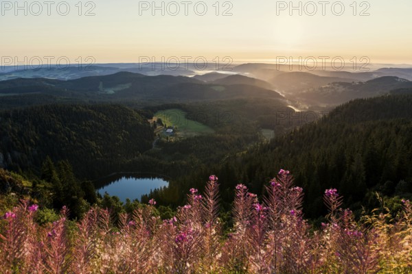 View from Feldberg to Feldsee looking east, sunrise, Black Forest, Southern Black Forest,