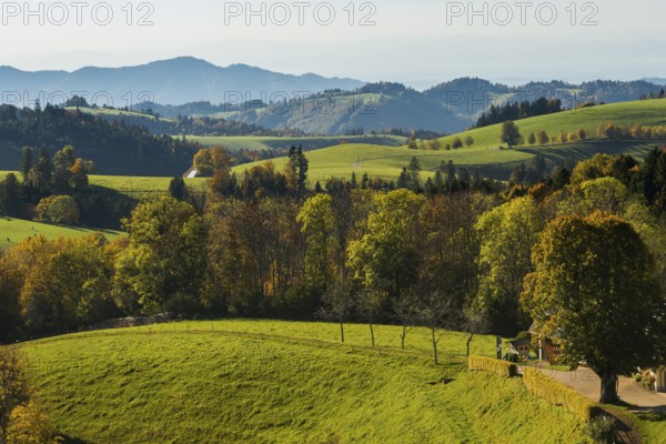Hilly landscape in autumn, St Märgen, Black Forest, Southern Black Forest, Baden-Württemberg,