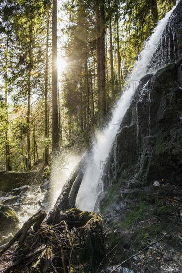 Zweribach Waterfalls, protected forest, St Märgen, Black Forest, Southern Black Forest,