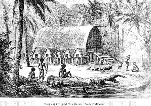 Village on the island of New Guinea, Papua, Pacific Ocean, tropical forest, tropical climate,