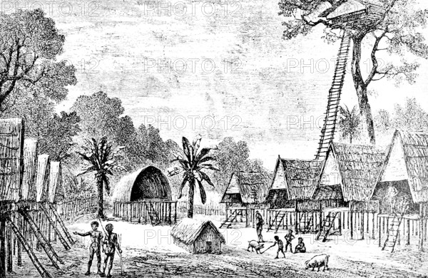Village on the island of New Guinea, Papua, Pacific Ocean, tropical forest, tropical climate, palm