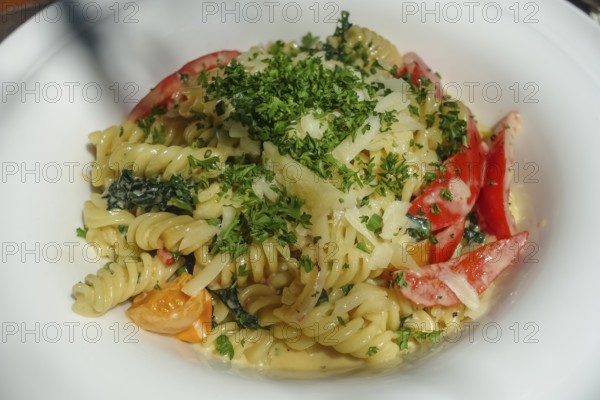 Spiral noodles, fusilli, noodle dish of the day, spinach, cherry tomatoes, cocktail tomatoes, vine