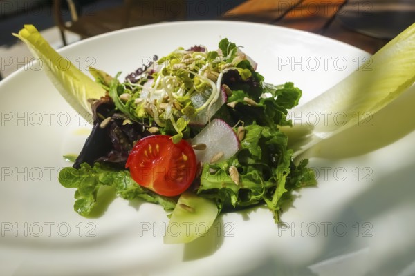 Small colorful salad, starter salad, sprouts, tomatoes, sunflower seeds, chicory, radishes,