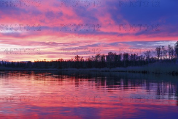 Colourful sunset with pink sky and trees reflecting in calm water, Peenetal nature park Park,