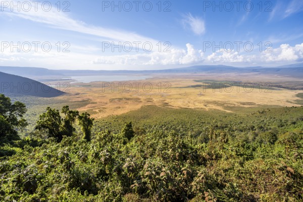 View of Ngorongoro Crater, Crater Viewpoint, Forest and Savanna Landscape, Ngorongoro Conservation