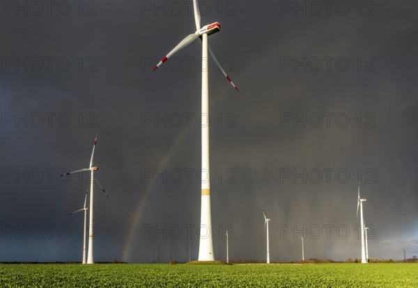 Königshovener Höhe onshore wind farm, on the A44 motorway near Bedburg, in front of the Jackerath