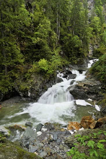 Diosaz mountain river in the gorge, Gorges de la Diosaz, Les Houches, Chamonix-Mont-Blanc,