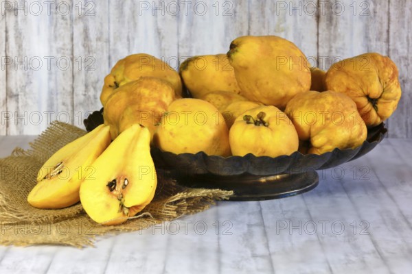 Picturesque still life with quinces, autumn, Germany