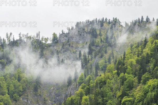 View into the mountains next to Lake Offensee on a rainy day in spring, Salzkammergut, Austria,