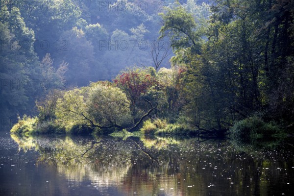 Autumn landscape, trees reflected in water, Thaya River, Thaya Valley National Park, Lower Austria,