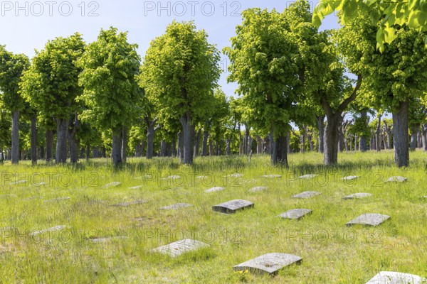 Tombstones on the Gottesacker, the historic cemetery of the Herrnhuter Brüdergemeinde, Herrnhut,