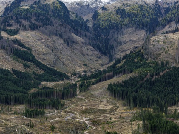 Logging, clearing, clearcut, timber industry, logging, mountain landscape, aerial view, autumn,