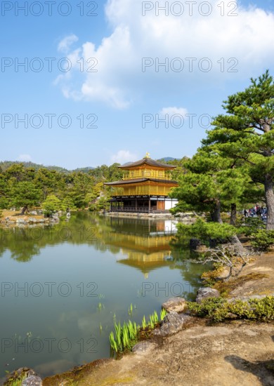 Golden Pavilion reflected in pond, Japanese garden, Golden Pavilion Temple, Kinkaku-ji reliquary,