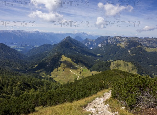 Hiking trail on the Braunedlkogel, Postalm, Osterhorn Group, Salzkammergut, Province of Salzburg,