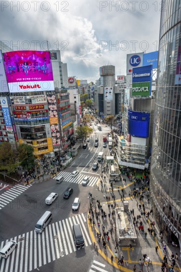 Modern houses with colorful neon signs and large road intersection, Shibuya Crossing from above,