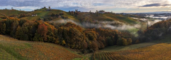 Panorama, aerial view, typical landscape in autumn with vineyards, South Styrian hills, South
