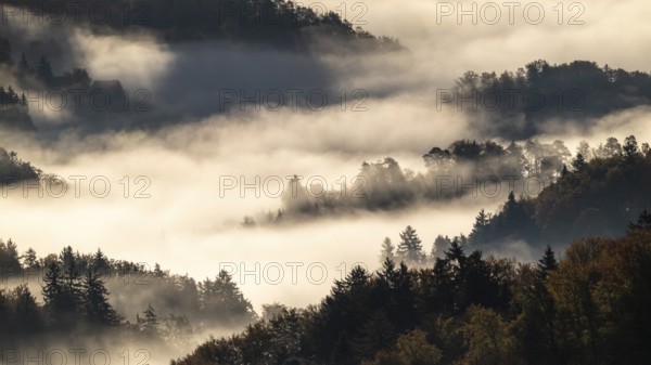 Sunrise, typical landscape in autumn with vineyards and fog, South Styrian hills, South Styrian
