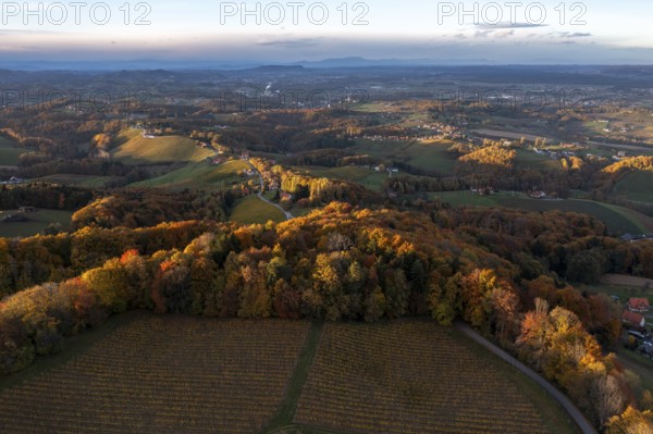 Aerial view, sunrise, typical landscape in autumn with vineyards, South Styrian hills, South