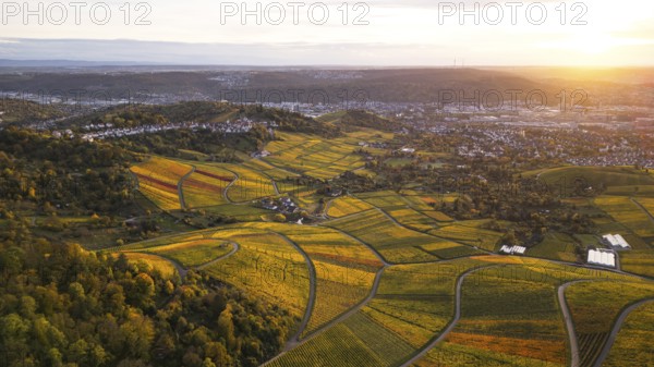 Golden sunset over the glowing autumnal vineyards on the Kappelberg between Fellbach and Stuttgart