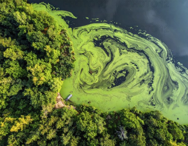Green algae on the lake. Aerial view of nature, landscape with hills and forest in summer, cloudy