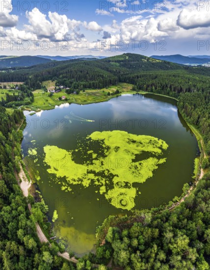 Green algae on the lake. Aerial view of nature, landscape with hills and forest in summer, cloudy