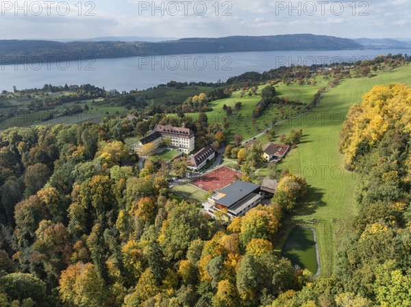 Aerial view of Lake Constance, Überlinger See, surrounded by autumn vegetation with Spetzgart