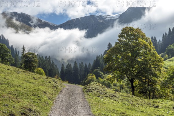 Hiking trail in the Dietersbachtal from Gerstruben to Alpe Dietersbach, Nebelschwanden hang in the