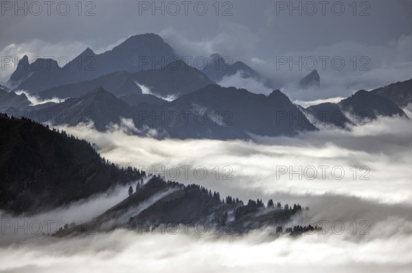 View from the Nebelhorn summit to mountains of the Allgäu Alps, mountains rising from fog in the