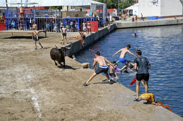 Bous a la Mar Fair, in English Bulls in the Sea, Bullfighting, Javea or Xàbia, Alicante Province,