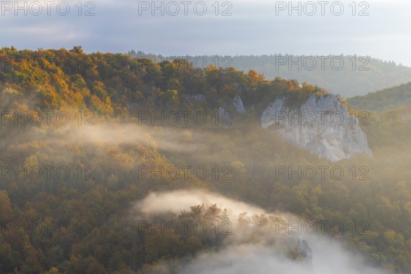 View from the Knopfmacherfels into the Danube valley, limestone rock, rock face, mixed forest,