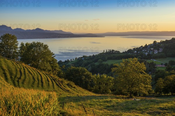 Panorama, Lake and mountains, Tour-de-Gourze, Riex, Sunset, Lavaux, UNESCO World Heritage Site,