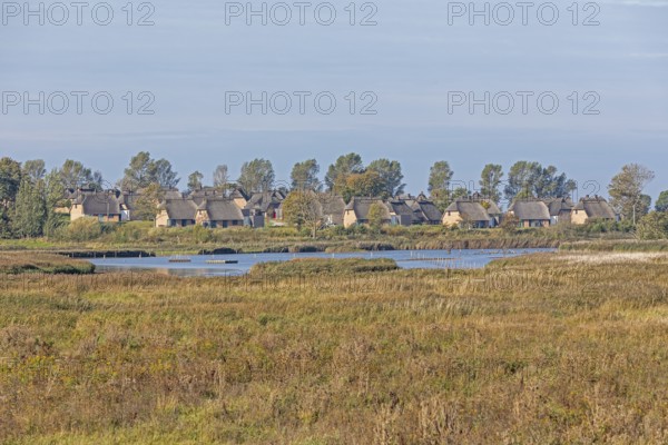 Holiday village Reetdorf Geltinger Birk, Geltinger Birk nature reserve, Geltinger Bucht,