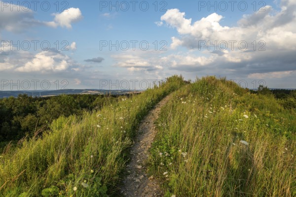 Hiking trail to the summit of the Steinberg under a blue sky with picturesque clouds, Extertal,