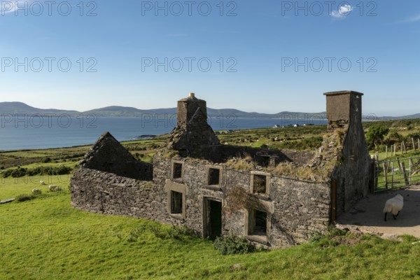 Ruin of a typical Irish farmhouse, Ring of Kerry, Iveragh Peninsula, County Kerry, Ireland