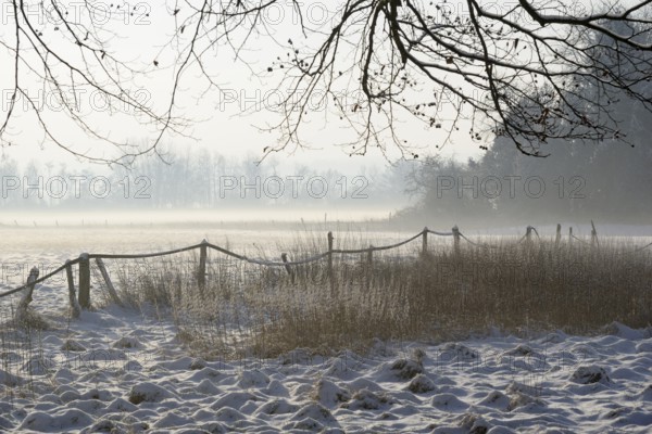Winterlandschaft, aufsteigender Bodennebel im Licht der Morgensonne, Nordrhein-Westfalen,