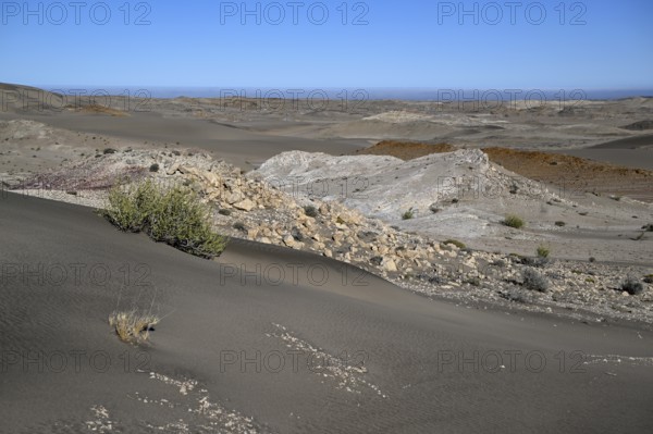 Wüstenlandschaft bei Pomona, im Hintergrund der Atlantik, Diamentensperrgebiet, bei Lüderitz,
