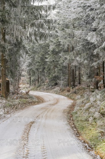 Forest road going through a mixed forest white from roarfrost on a sunny day in winter, Bavaria,