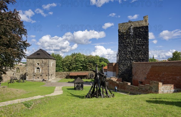 Keep, Black Tower and Staufer Imperial Palace in the Romanesque style, double chapel, castle