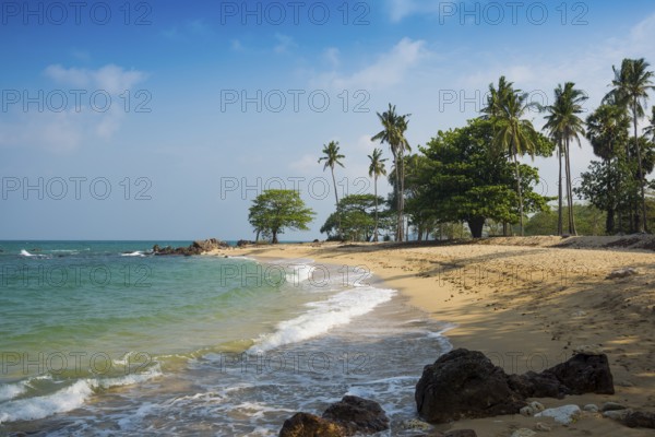 Sandy beach beach and coconut palms, Secret Beach, Sala Dan, Ko Lanta, Koh Lanta, Krabi Province,
