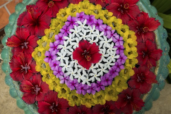 Flower decoration made of blossoms in a luxury resort, Klong Khong Beach, Sala Dan, Ko Lanta, Koh