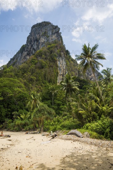 White sandy beach and coconut palms, Sabai Beach, Koh Mook, Trang Province, Southern Thailand,