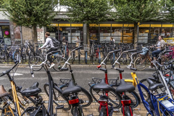 Ride your bike in the city centre of Groningen, old town, designated areas where bikes may be