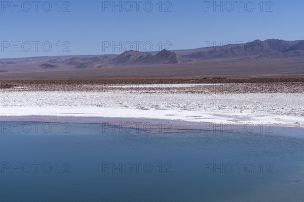 Coloured salt formations at the Lagunas Escondidas de Baltinache, Atacama Desert, Toconao, San